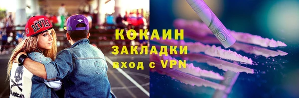 шишки Козельск