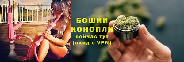 шишки Козельск