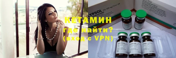 шишки Козельск