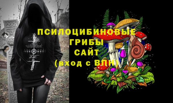 шишки Козельск