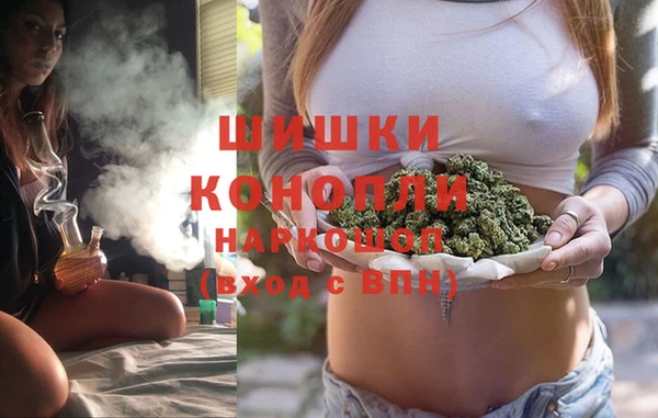 шишки Козельск