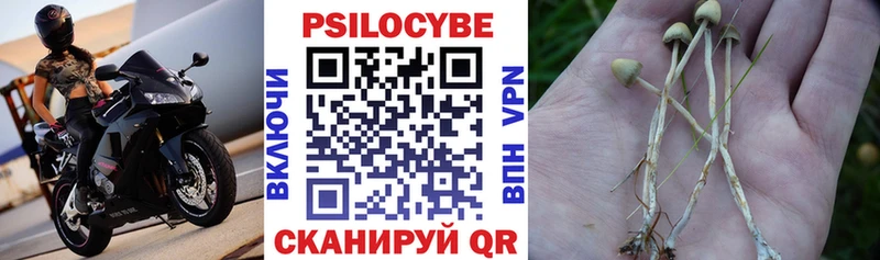 Купить где  Катав-Ивановск  Галлюциногенные грибы прущие грибы 